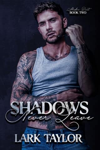 Shadows Never Leave by Lark Taylor