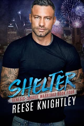 Shelter by Reese Knightley