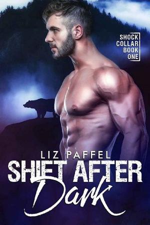 Shift After Dark by Liz Paffel