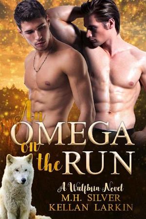 An Omega on the Run by M.H. Silver
