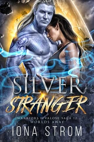 Silver Stranger by Iona Strom