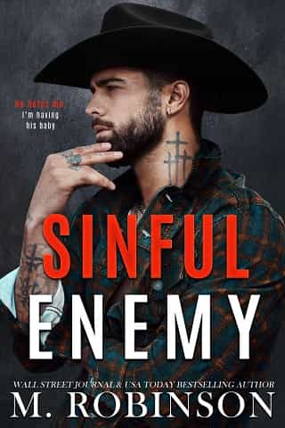 Sinful Enemy by M. Robinson