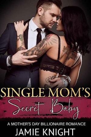 Single Mom’s Secret Baby by Jamie Knight