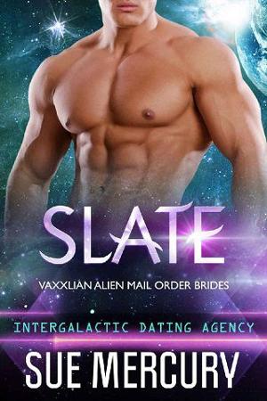 Slate by Sue Mercury