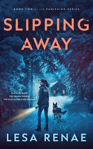 Slipping Away by Lesa Renae