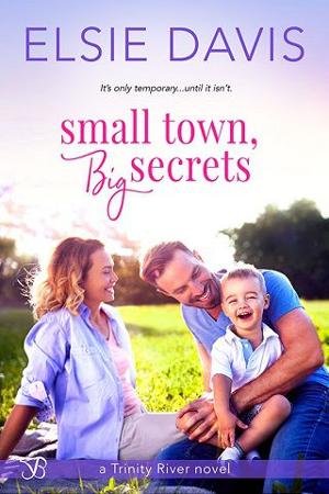 Small Town, Big Secrets by Elsie Davis