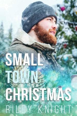 Small Town Christmas by Riley Knight