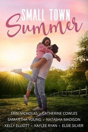 Small Town Summer Anthology by Erin Nicholas