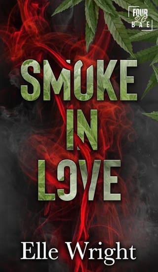 Smoke in Love by Elle Wright