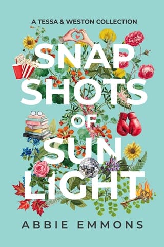 Snapshots of Sunlight by Abbie Emmons