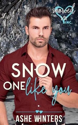 Snow One Like You by Ashe Winters