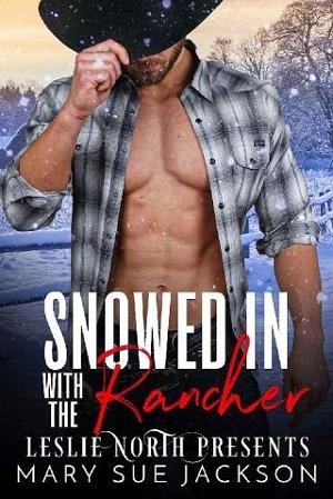 Snowed in With the Rancher by Mary Sue Jackson