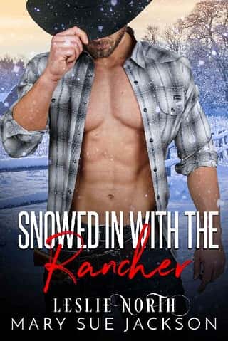 Snowed in with the Rancher by Mary Sue Jackson