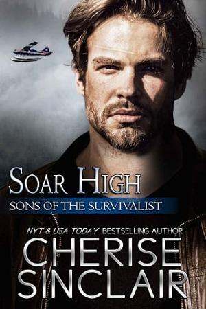 Soar High by Cherise Sinclair