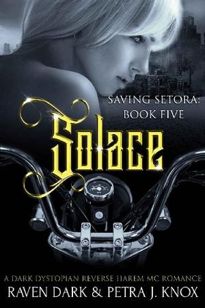 Solace by Raven Dark