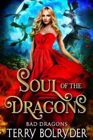 Soul of the Dragons by Terry Bolryder
