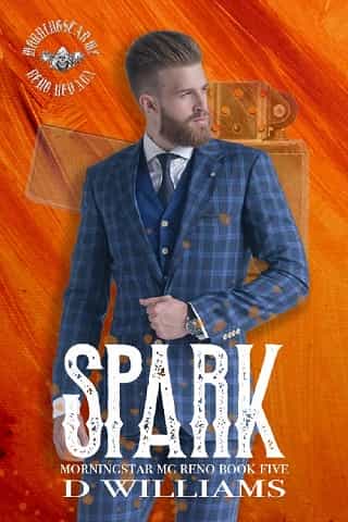 Spark by D Williams