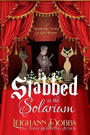 Stabbed in the Solarium by Leighann Dobbs