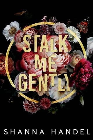Stalk Me Gently by Shanna Handel