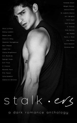 Stalkers by Ally Vance