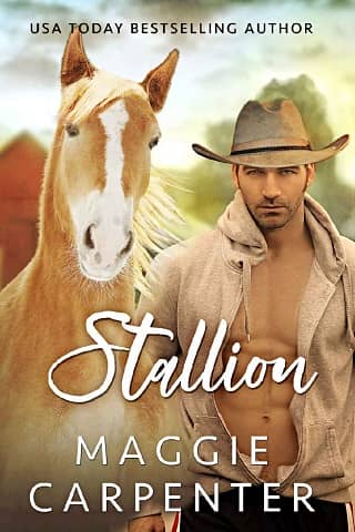 Stallion by Maggie Carpenter