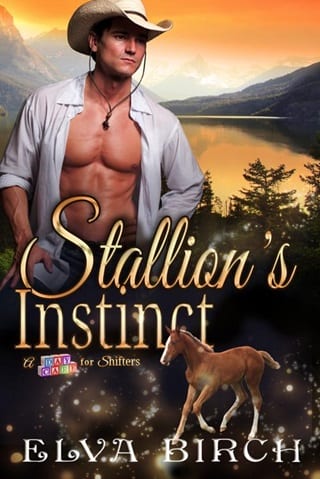 Stallion’s Instinct by Elva Birch