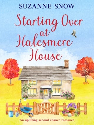 Starting Over at Halesmere House by Suzanne Snow