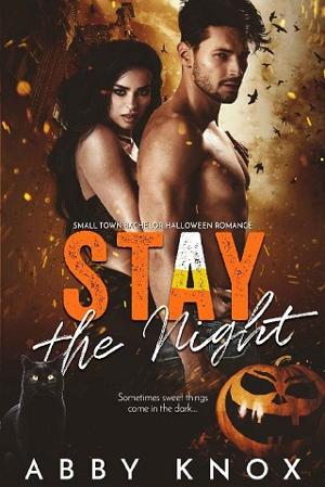 Stay the Night by Abby Knox