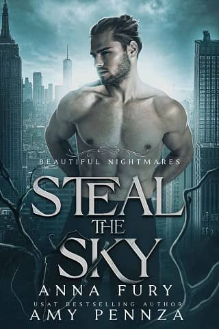 Steal the Sky by Anna Fury
