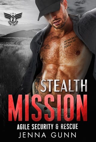 Stealth Mission by Jenna Gunn