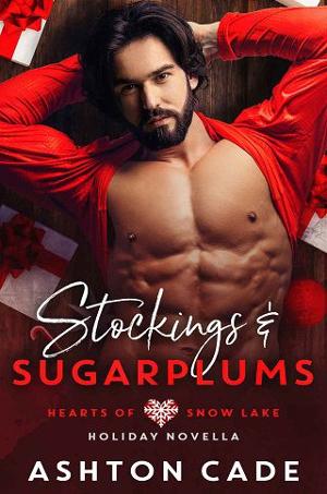 Stockings and Sugarplums by Ashton Cade
