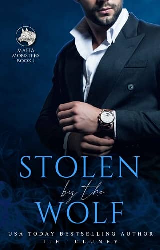 Stolen By the Wolf by J.E. Cluney