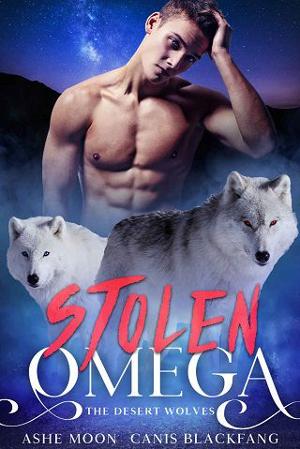 Stolen Omega by Ashe Moon