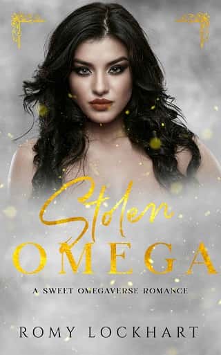 Stolen Omega by Romy Lockhart
