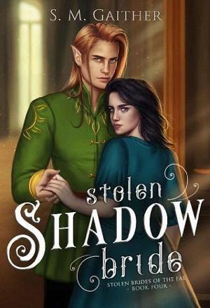 Stolen Shadow Bride by S.M. Gaither