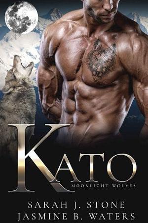Kato by Sarah J. Stone