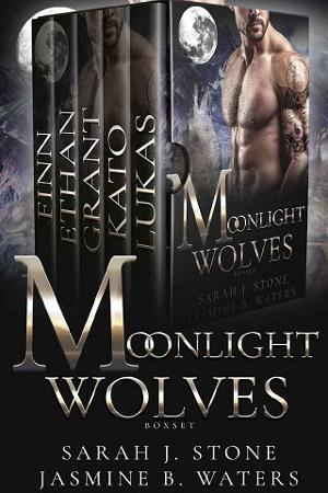 Moonlight Wolves Series by Sarah J. Stone