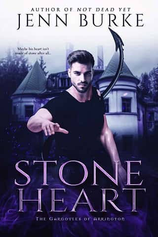 Stone Heart by Jenn Burke