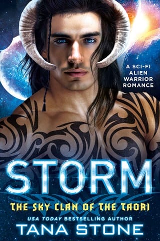 Storm by Tana Stone