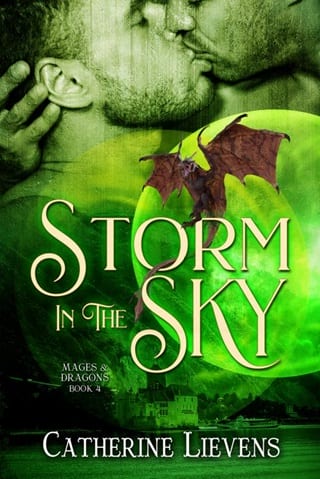 Storm In The Sky by Catherine Lievens