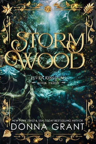 Storm Wood by Donna Grant