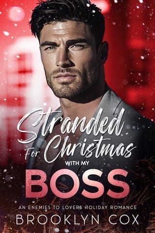 Stranded for Christmas with my Boss by Brooklyn Cox