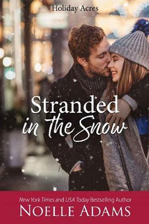 Stranded in the Snow by Noelle Adams
