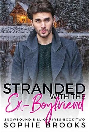 Stranded with the Ex-Boyfriend by Sophie Brooks