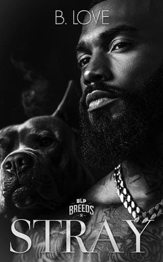 Stray by B. Love