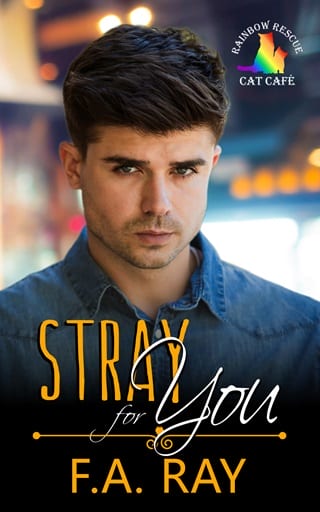 Stray for You by F.A. Ray