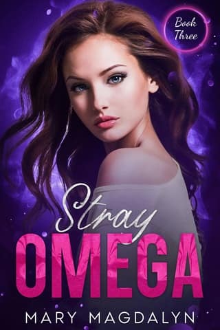 Stray Omega by Mary Magdalyn