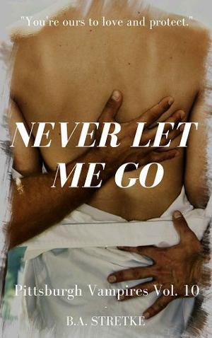 Never Let Me Go by B.A. Stretke