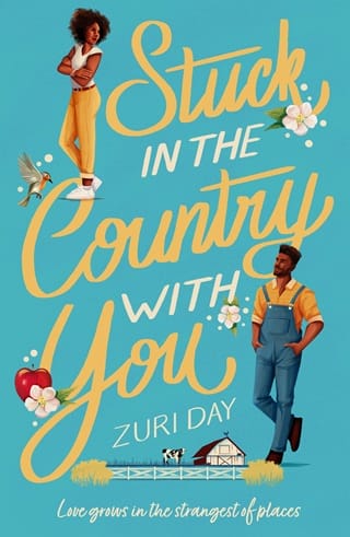 Stuck in the Country with You by Zuri Day