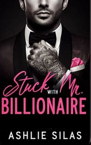 Stuck with Mr. Billionaire by Ashlie Silas